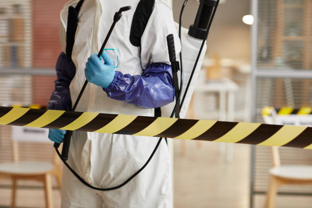 Professional Sewage Cleanup technician working in Strang, NE